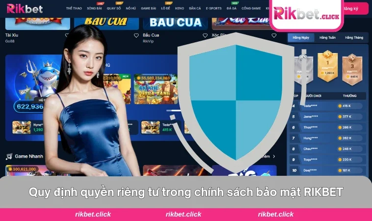 Giao diện quyền kiểm soát dữ liệu người dùng minh bạch